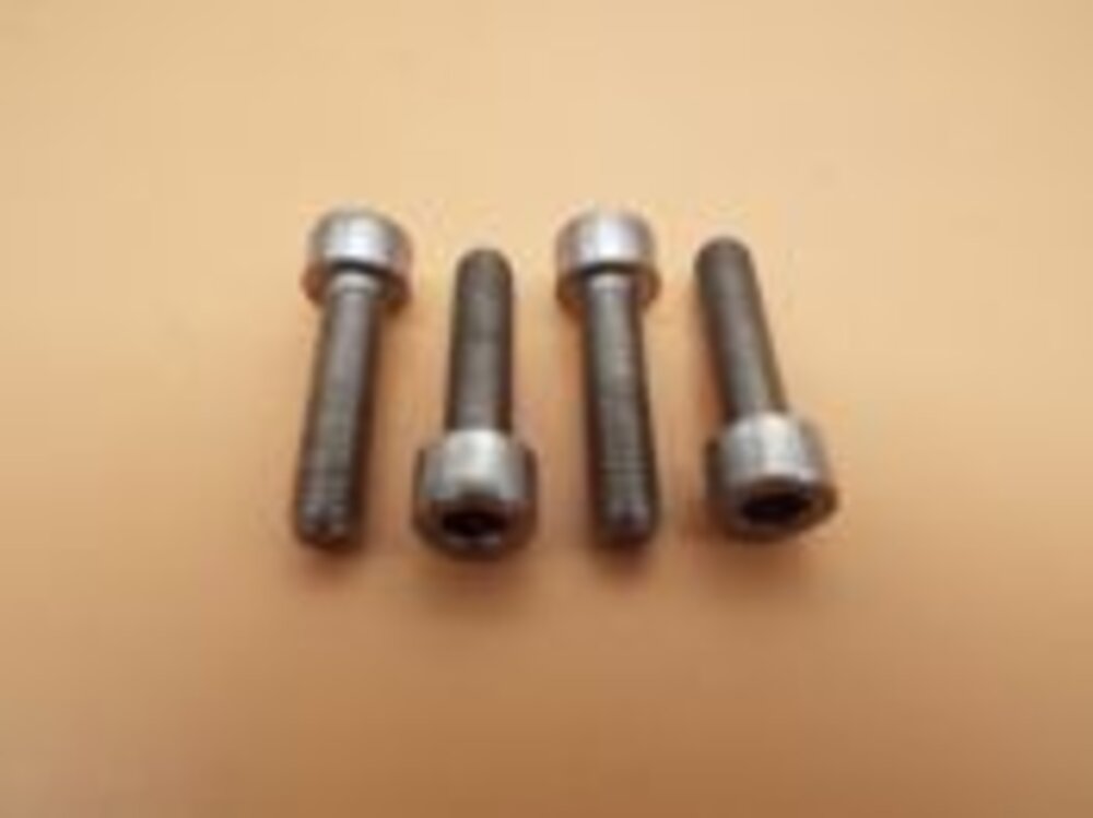 Hansgrohe 97770000 Zylinderschrauben M5 x 35 mm (4 Stück)