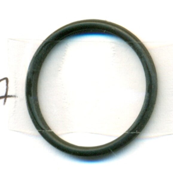 Hansgrohe 95169000 O-Ring 21,95x1,78 mm