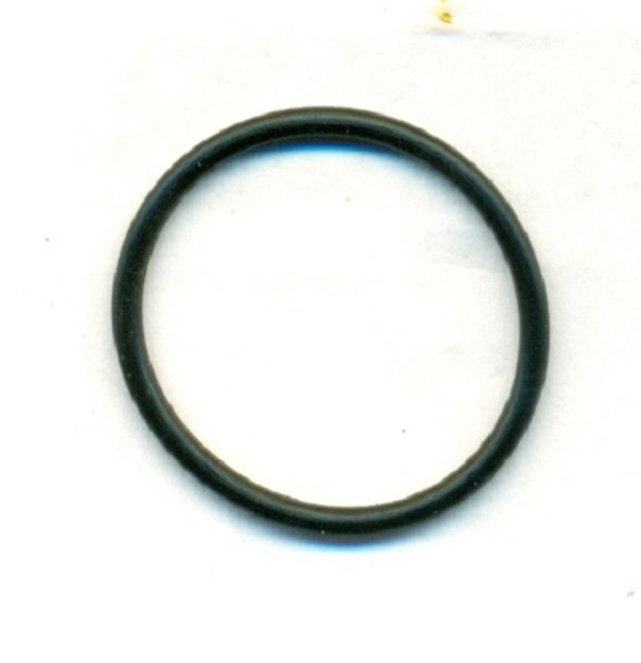 Hansgrohe 98211000 O-Ring 21x2,5 mm